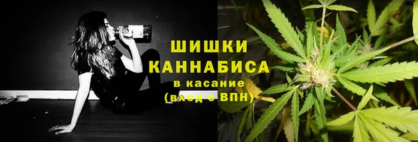 прущая мука Арсеньев