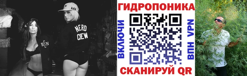 Бошки марихуана Ganja  где купить наркоту  Холм 